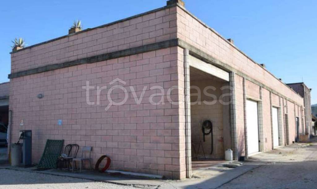 immagine annuncio 7 di 12