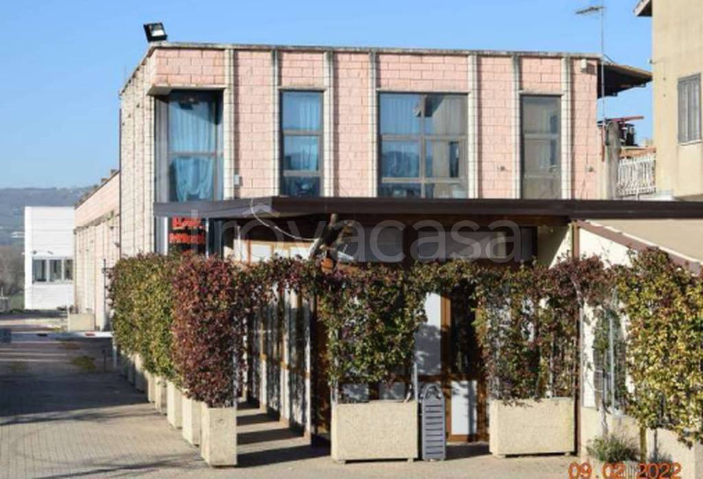 immagine annuncio 8 di 12