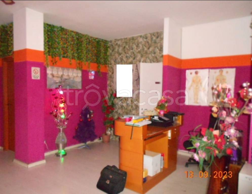 immagine annuncio 5 di 11