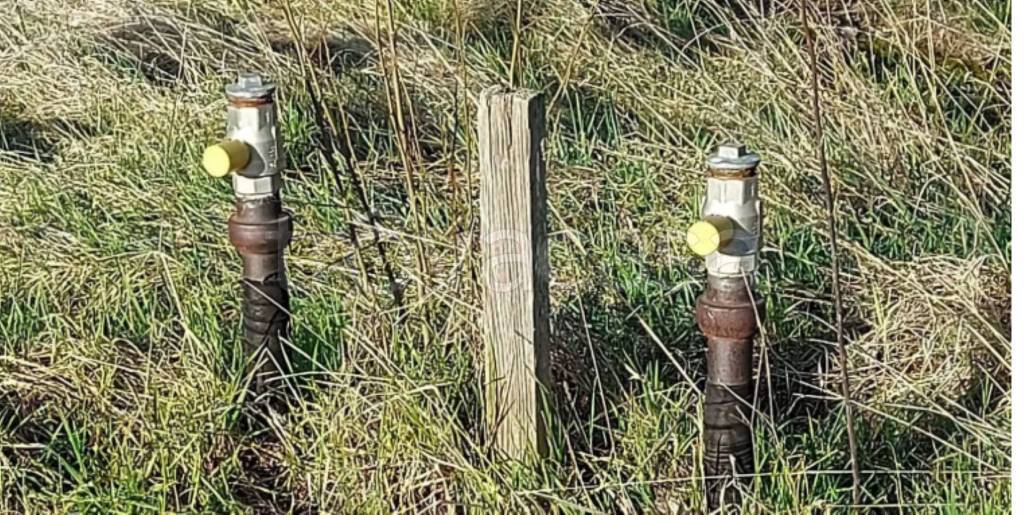 immagine annuncio 4 di 9