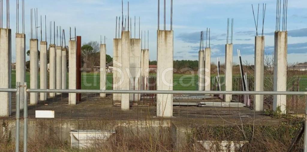 immagine annuncio 5 di 9