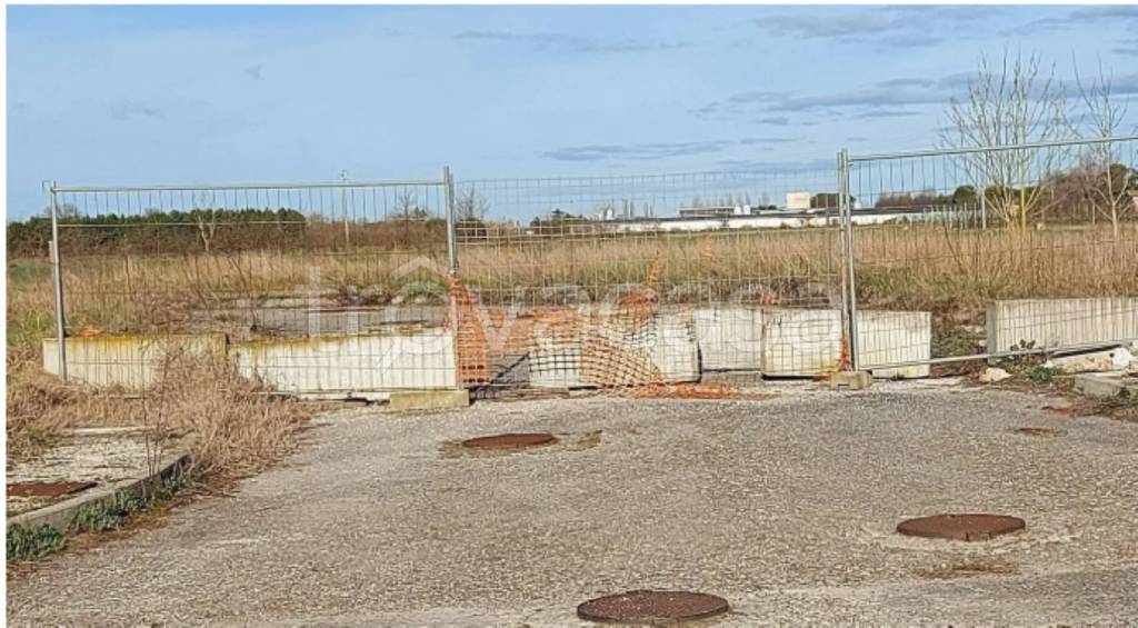 immagine annuncio 6 di 9