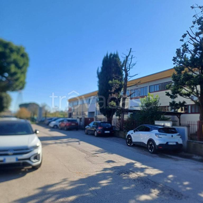 immagine annuncio 1 di 6