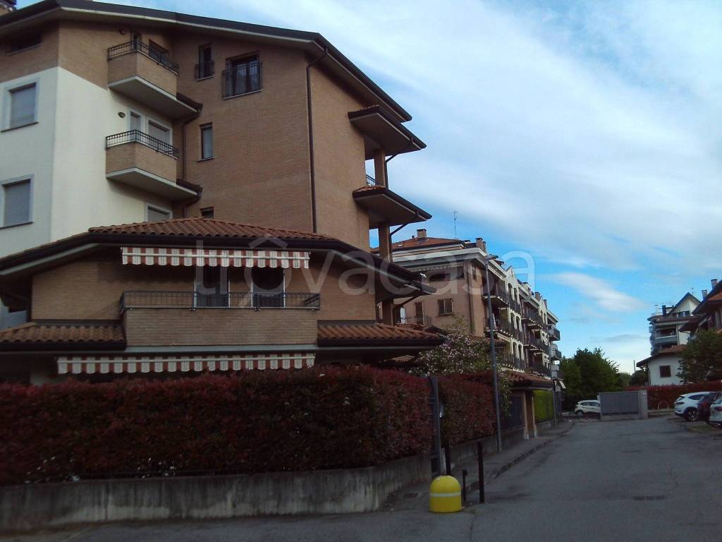 immagine annuncio 4 di 15