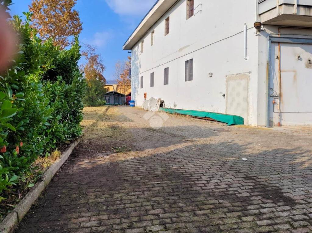 immagine annuncio 6 di 15