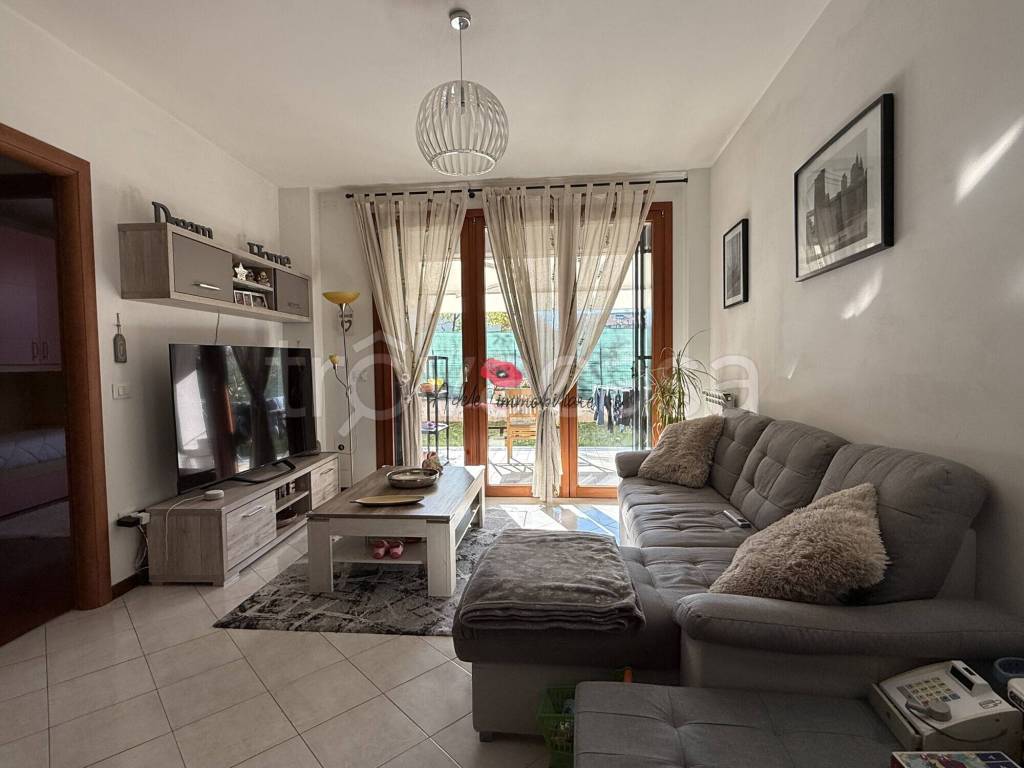 immagine annuncio 1 di 15