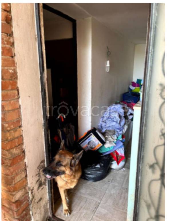 immagine annuncio 3 di 13