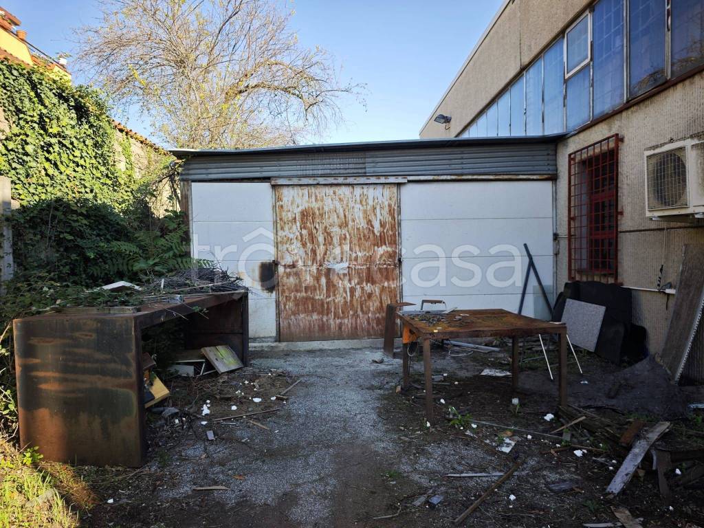 immagine annuncio 11 di 15