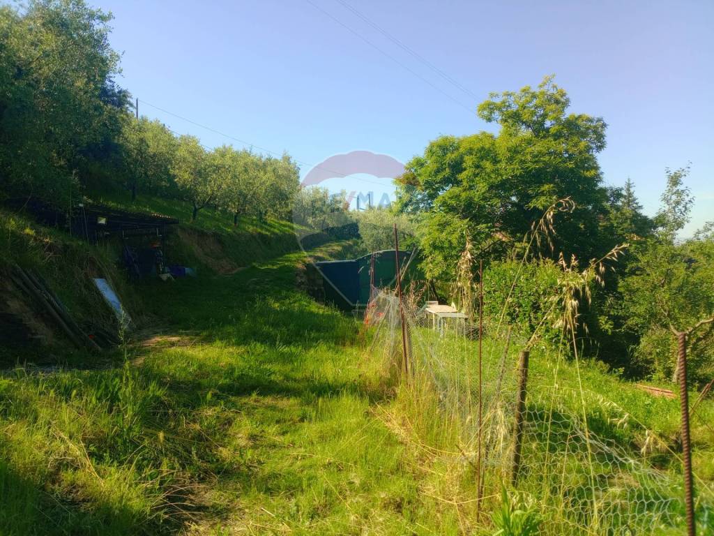 immagine annuncio 1 di 6