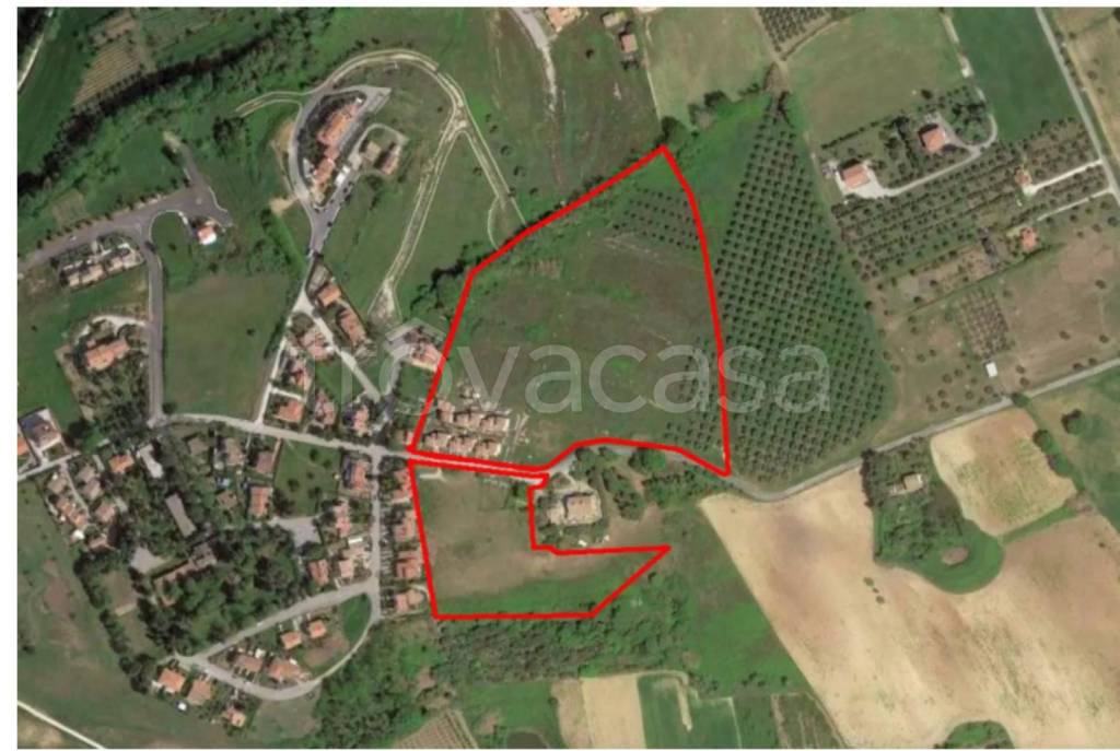 immagine annuncio 11 di 12