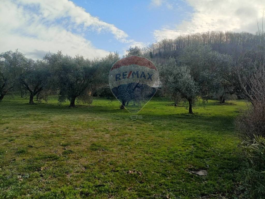 immagine annuncio 5 di 6