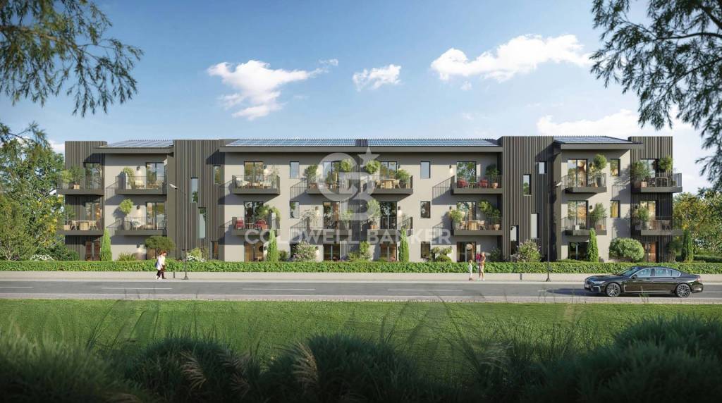 immagine annuncio 1 di 12