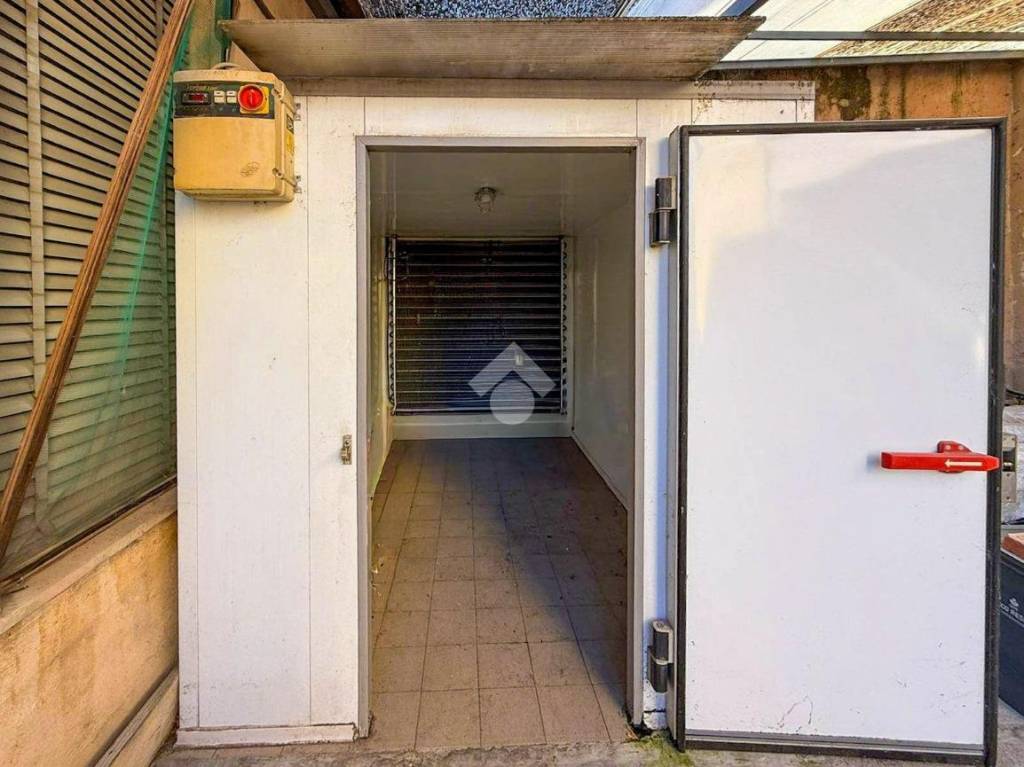 immagine annuncio 9 di 13