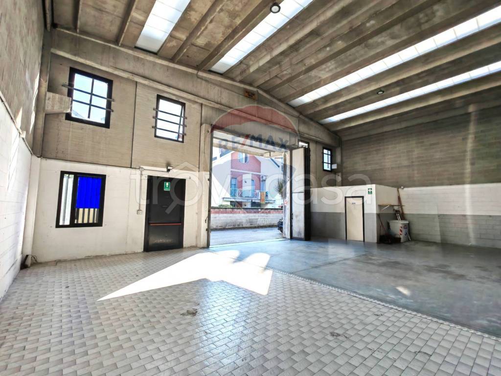 immagine annuncio 5 di 15