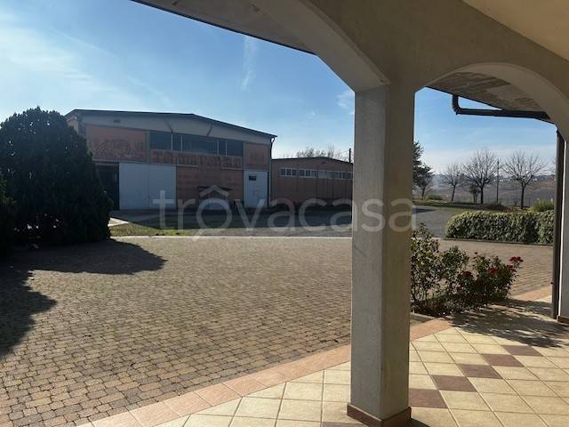 immagine annuncio 4 di 7