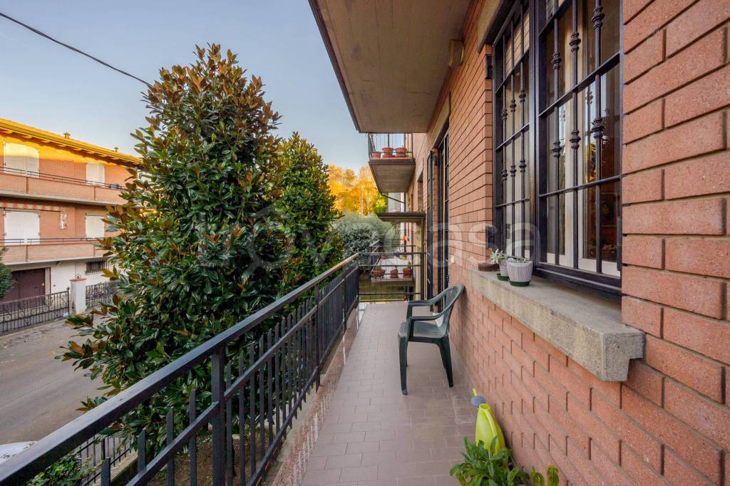 immagine annuncio 6 di 15