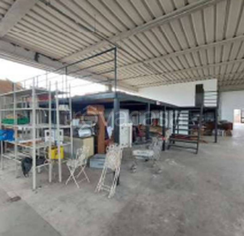 immagine annuncio 5 di 11