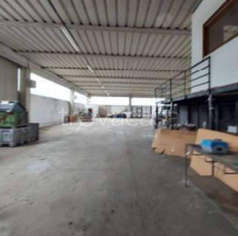 immagine annuncio 6 di 11