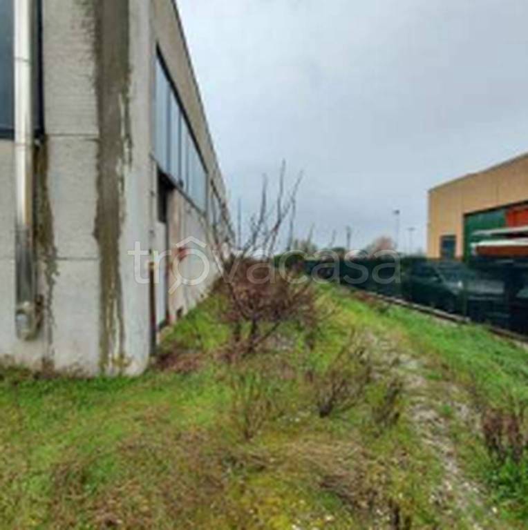 immagine annuncio 7 di 11