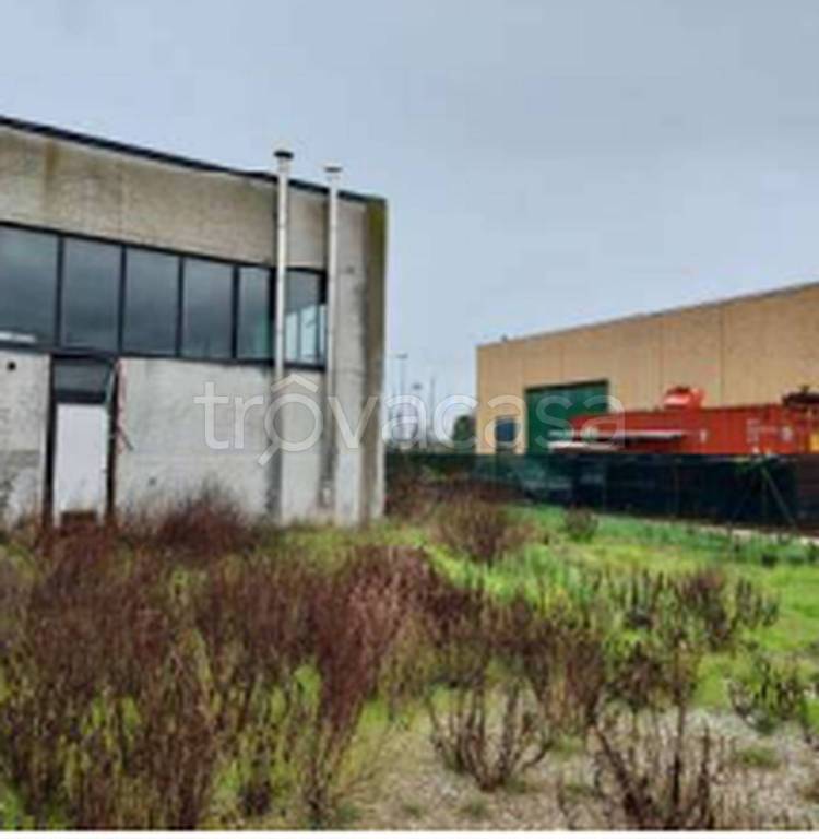 immagine annuncio 10 di 11