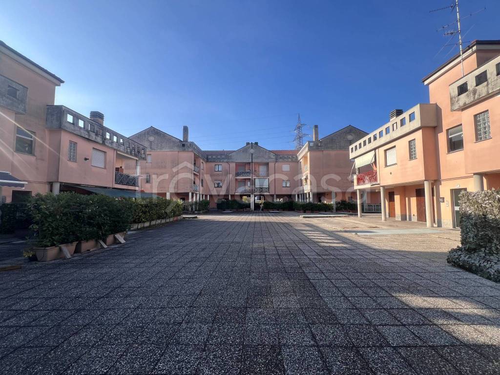 immagine annuncio 12 di 14