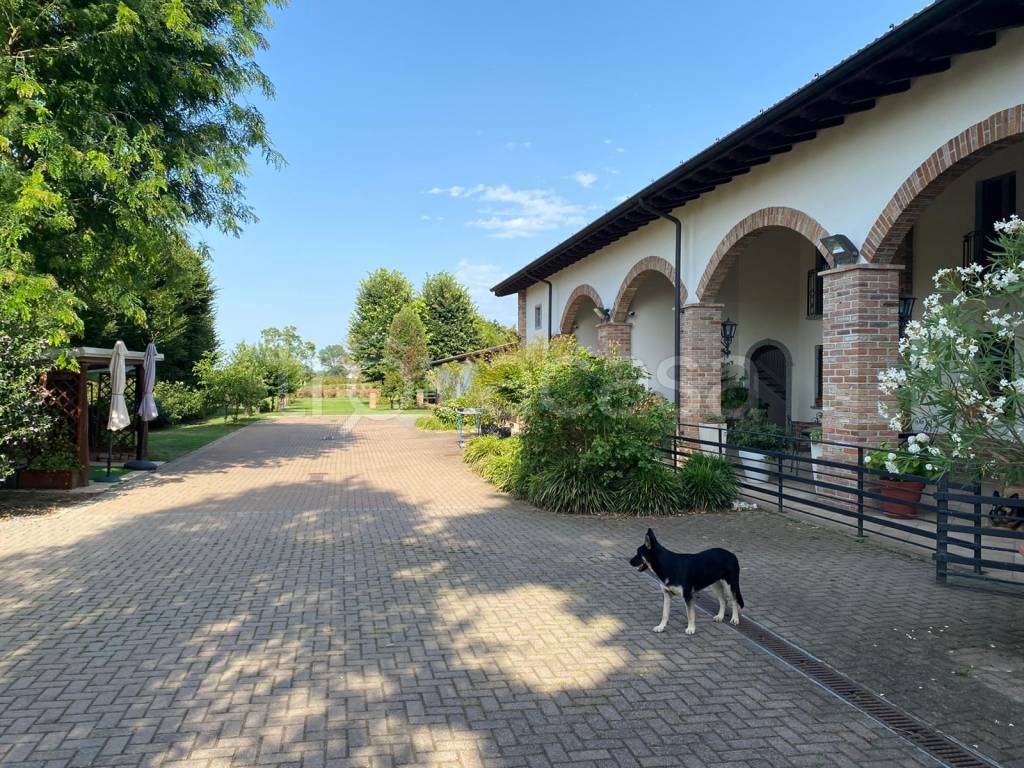 immagine annuncio 4 di 15