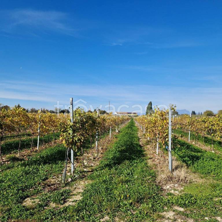 immagine annuncio 1 di 4