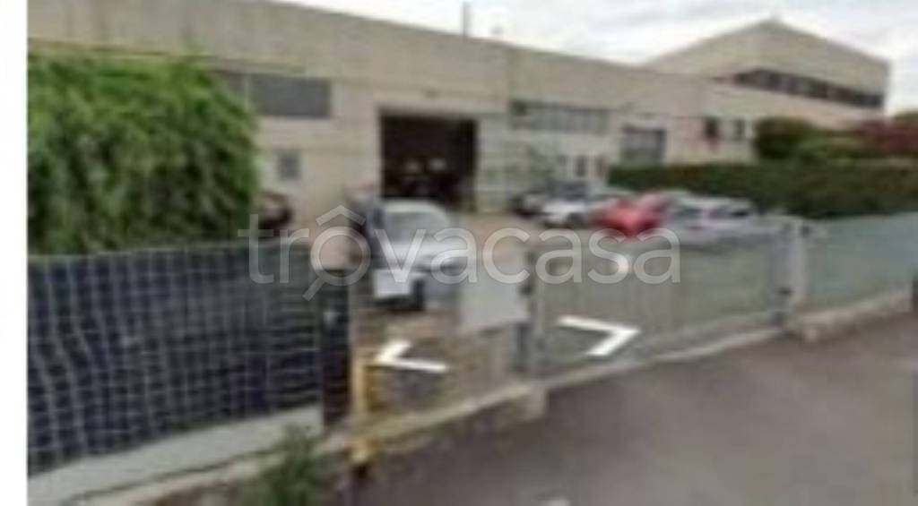 immagine annuncio 1 di 11