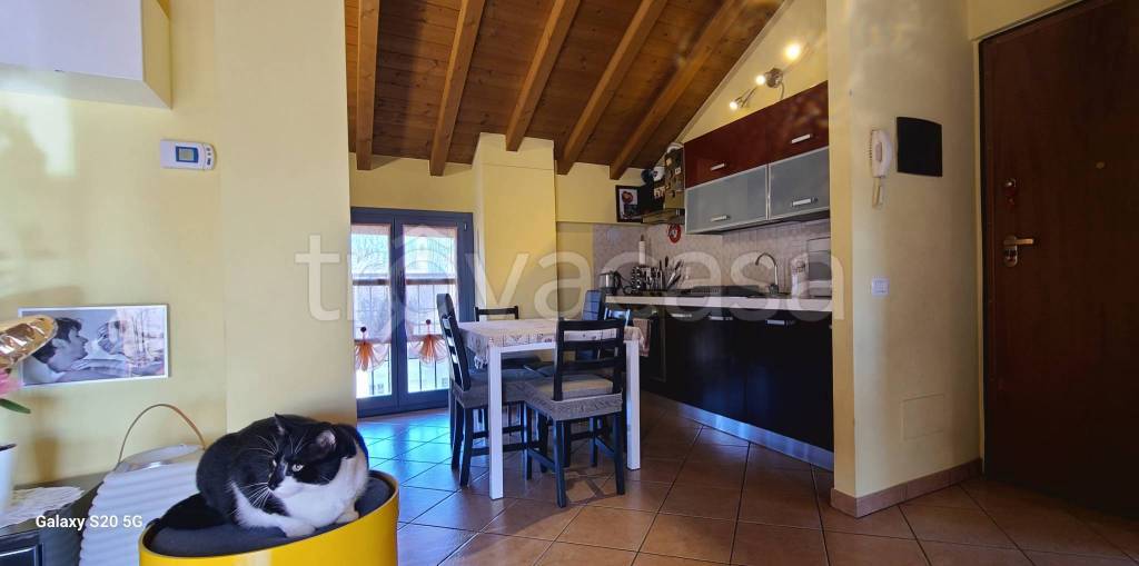 immagine annuncio 6 di 15