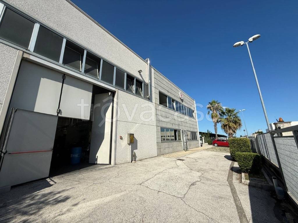 immagine annuncio 5 di 12