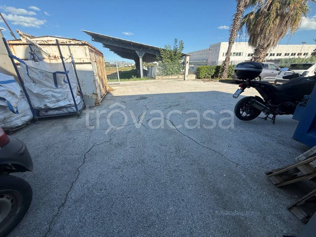 immagine annuncio 7 di 12