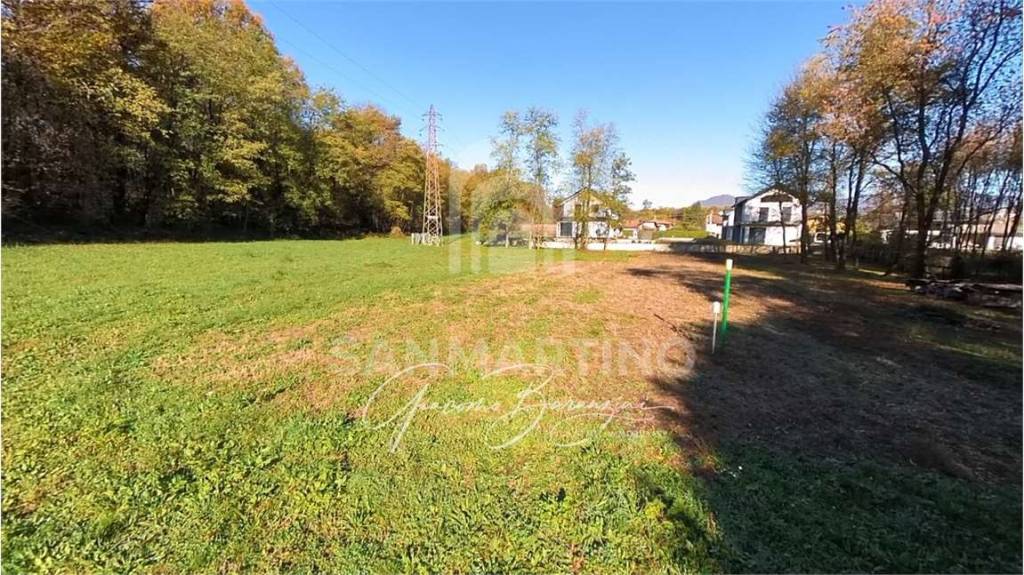 immagine annuncio 3 di 8