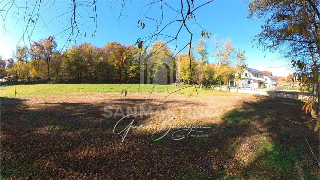 immagine annuncio 4 di 8