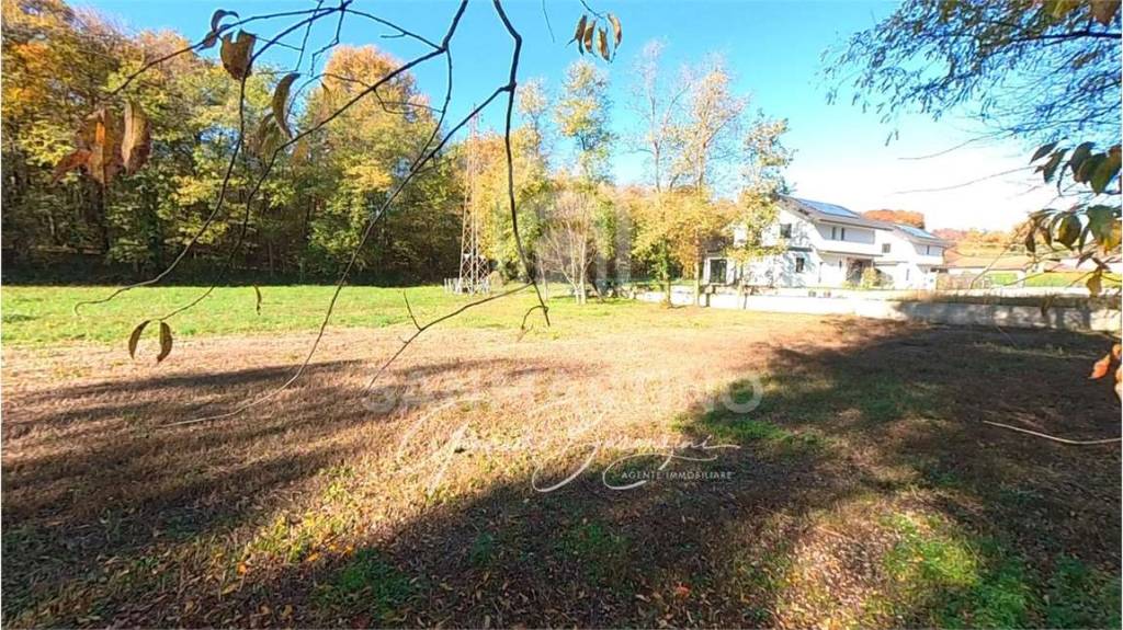 immagine annuncio 5 di 8