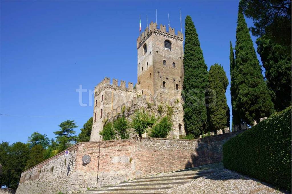 immagine annuncio 5 di 6