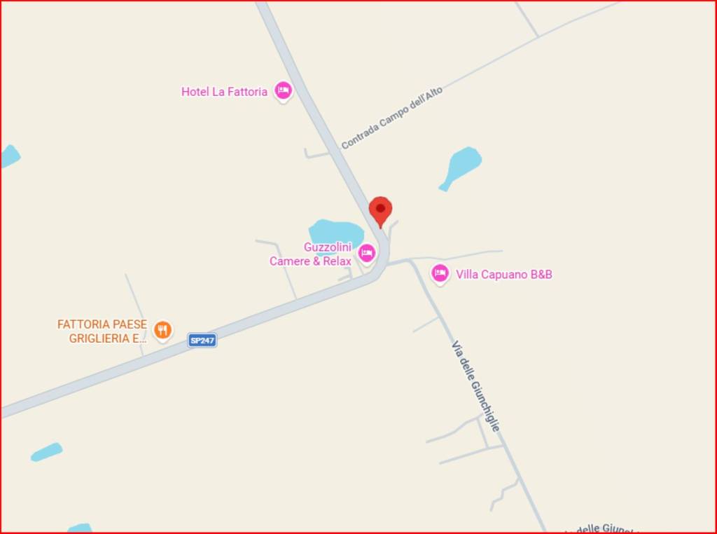 immagine annuncio 10 di 12