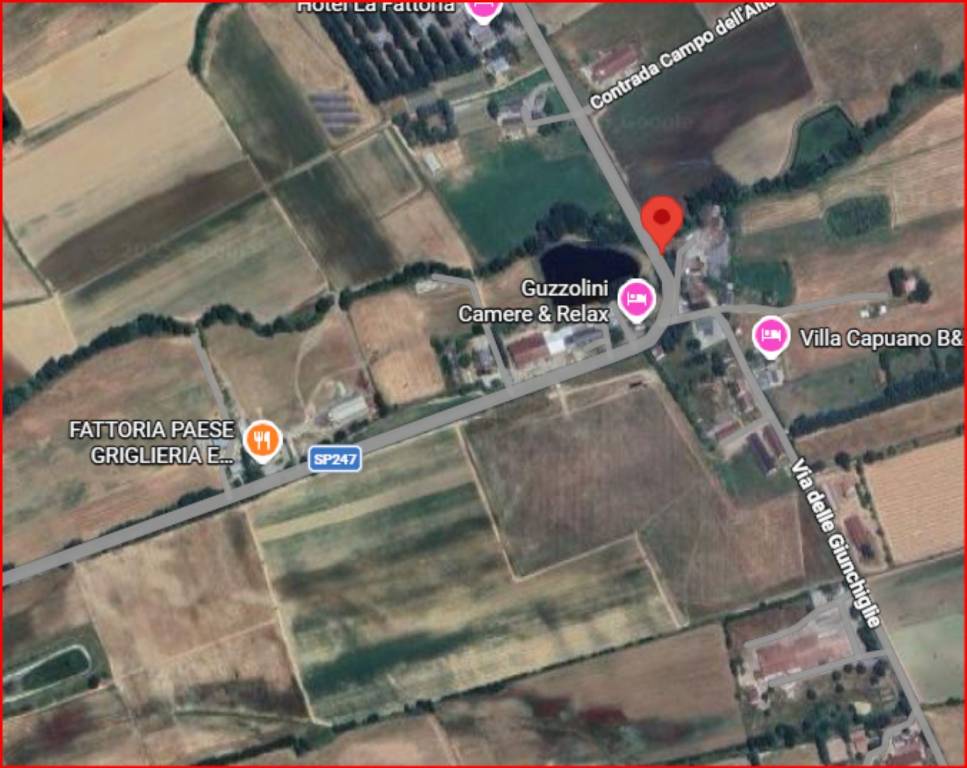 immagine annuncio 11 di 12