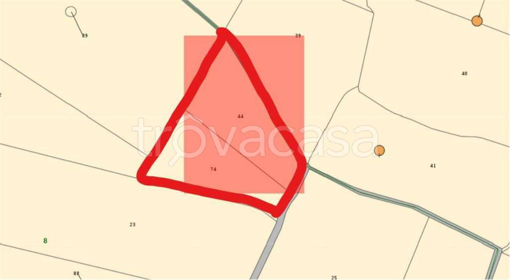 immagine annuncio 6 di 15