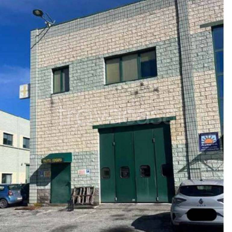 immagine annuncio 2 di 14