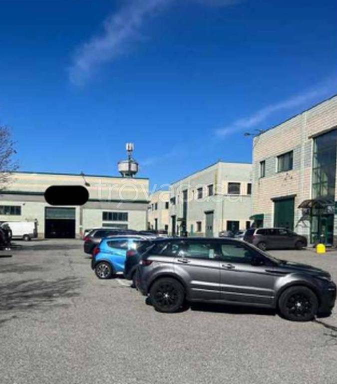 immagine annuncio 6 di 14