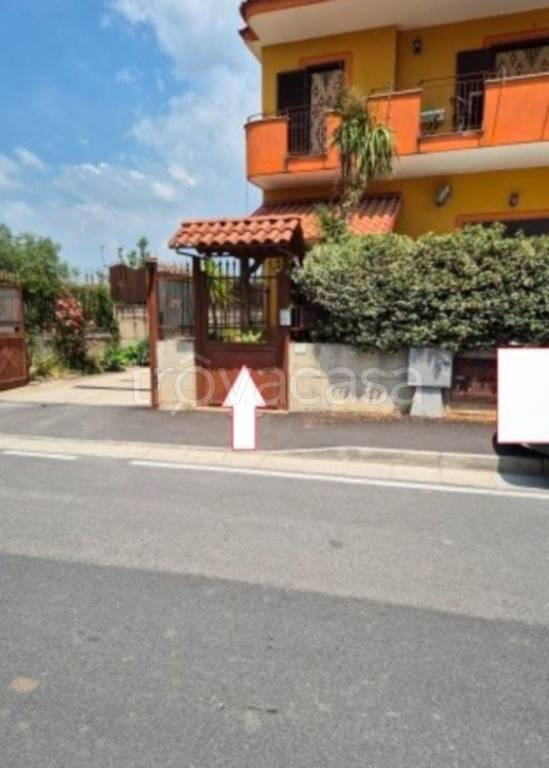 immagine annuncio 8 di 12