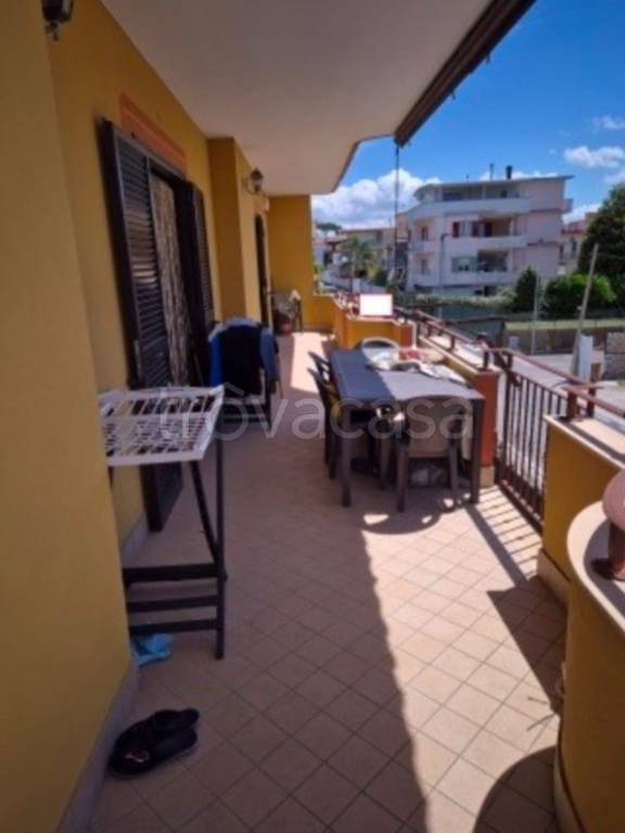 immagine annuncio 11 di 12