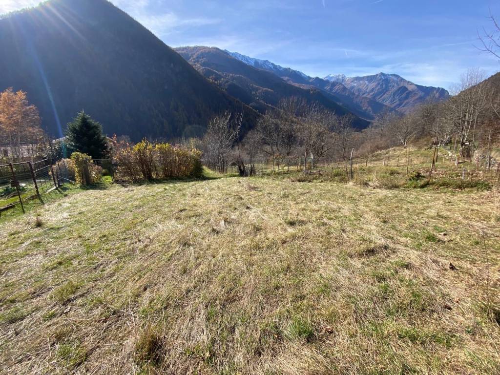 immagine annuncio 11 di 14