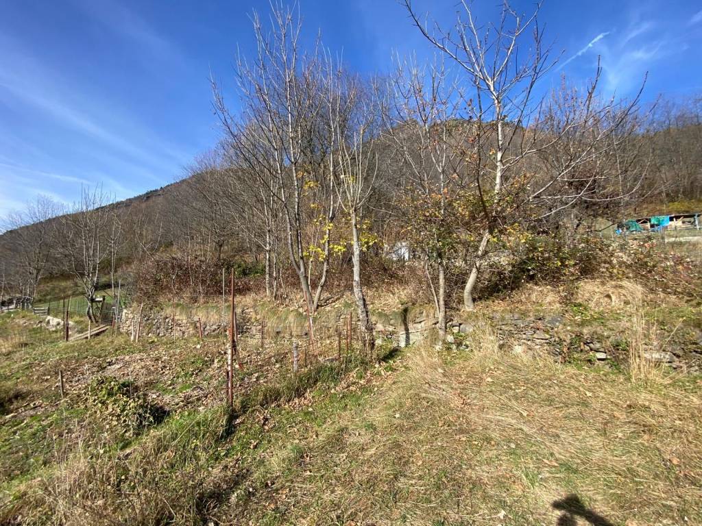 immagine annuncio 12 di 14