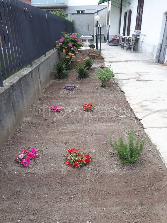 immagine annuncio 1 di 15