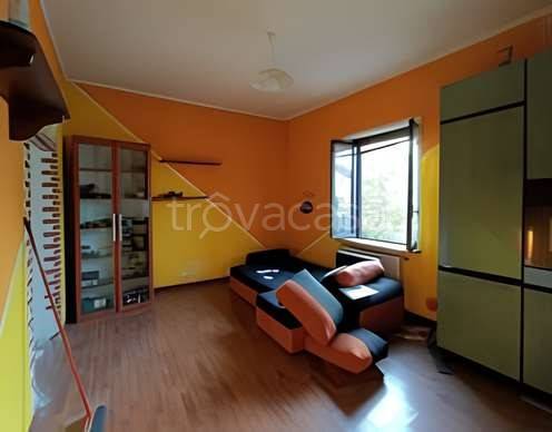 immagine annuncio 3 di 8