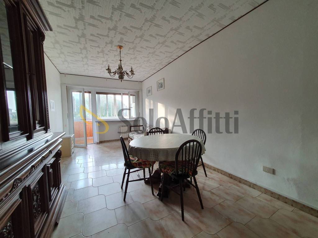 immagine annuncio 2 di 14