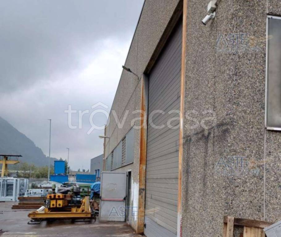 immagine annuncio 3 di 7