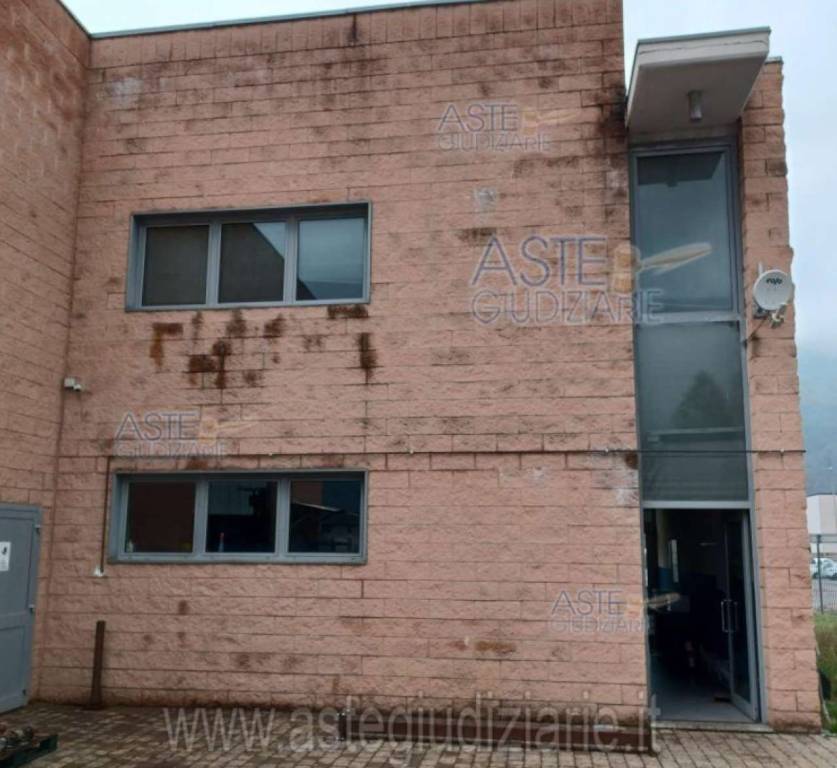 immagine annuncio 5 di 7