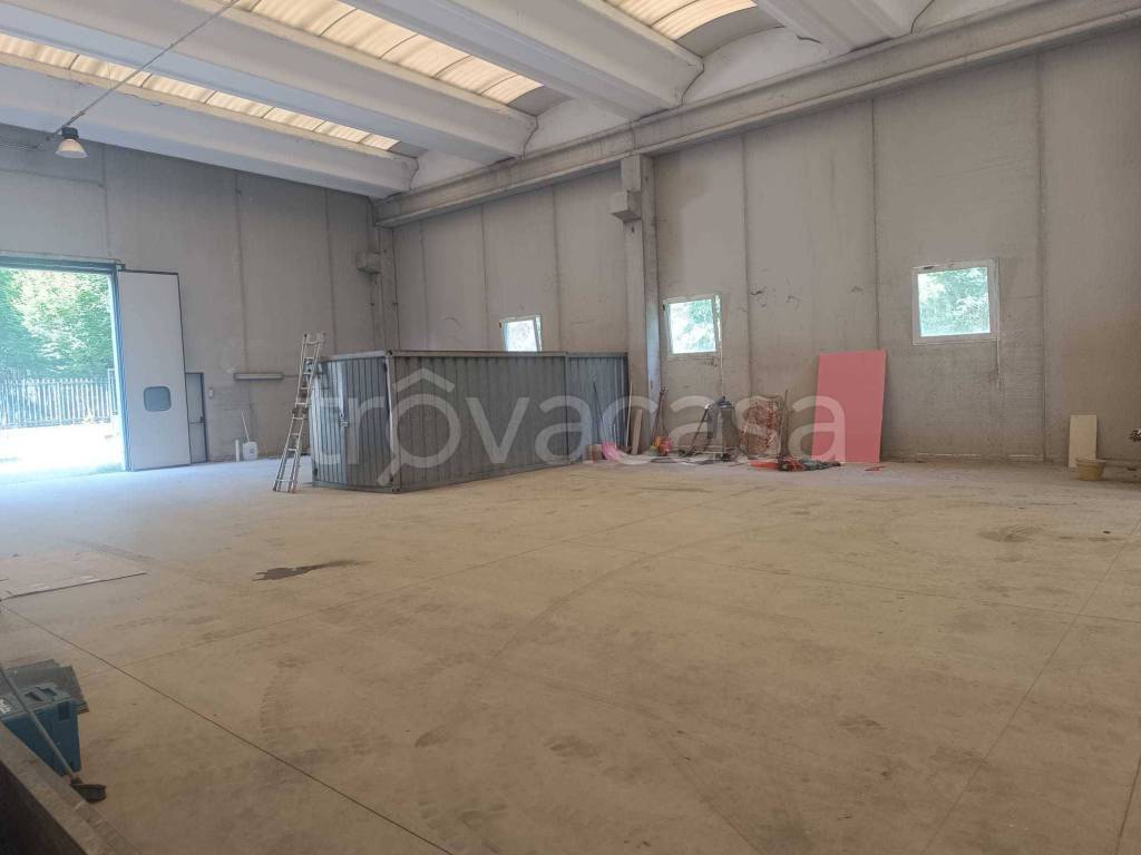 immagine annuncio 1 di 13